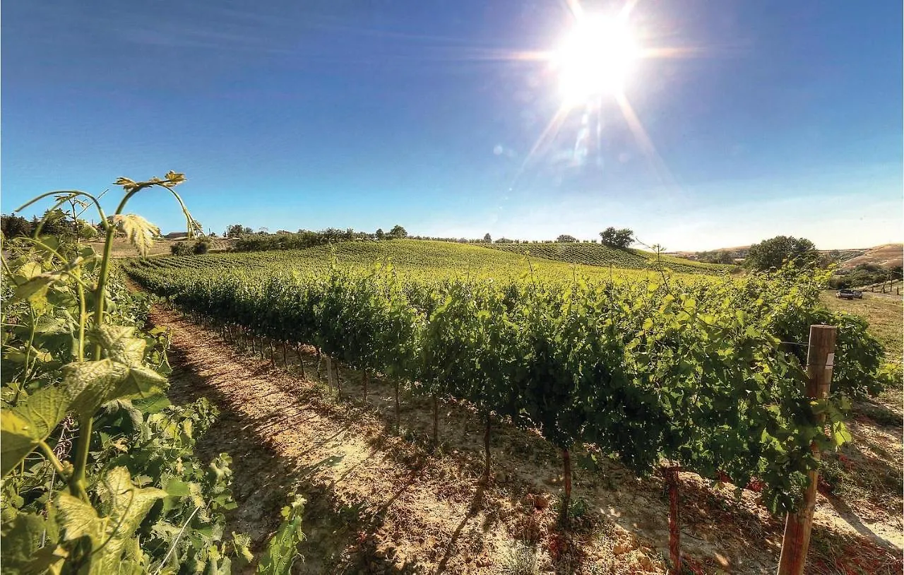 Ginevra - Podere Moricci Montaione 0*,